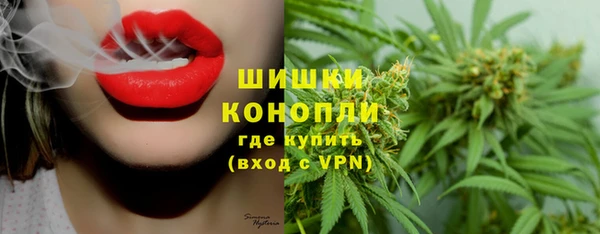прущие грибы Белоозёрский