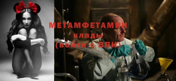 прущие грибы Белоозёрский