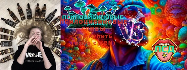 ALPHA PVP Чердынь