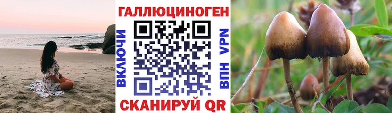 Галлюциногенные грибы Psilocybe  Купить где  Киров 